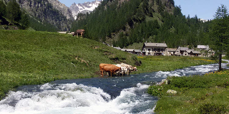 Val d'Ossola